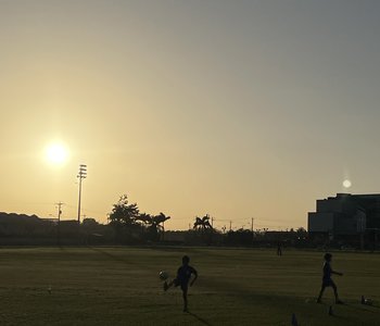 IMG_0784.jpg