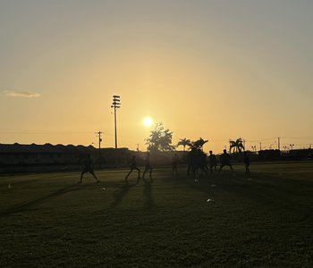IMG_0795.jpg